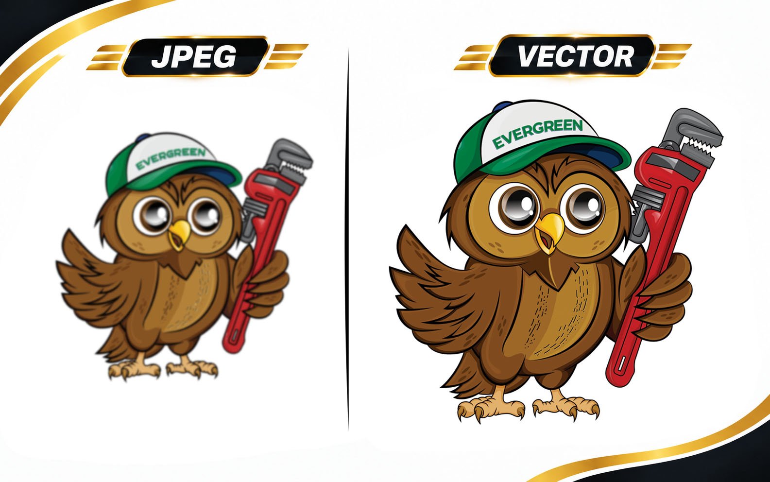 Custom Vector Art Illustration Owl Character